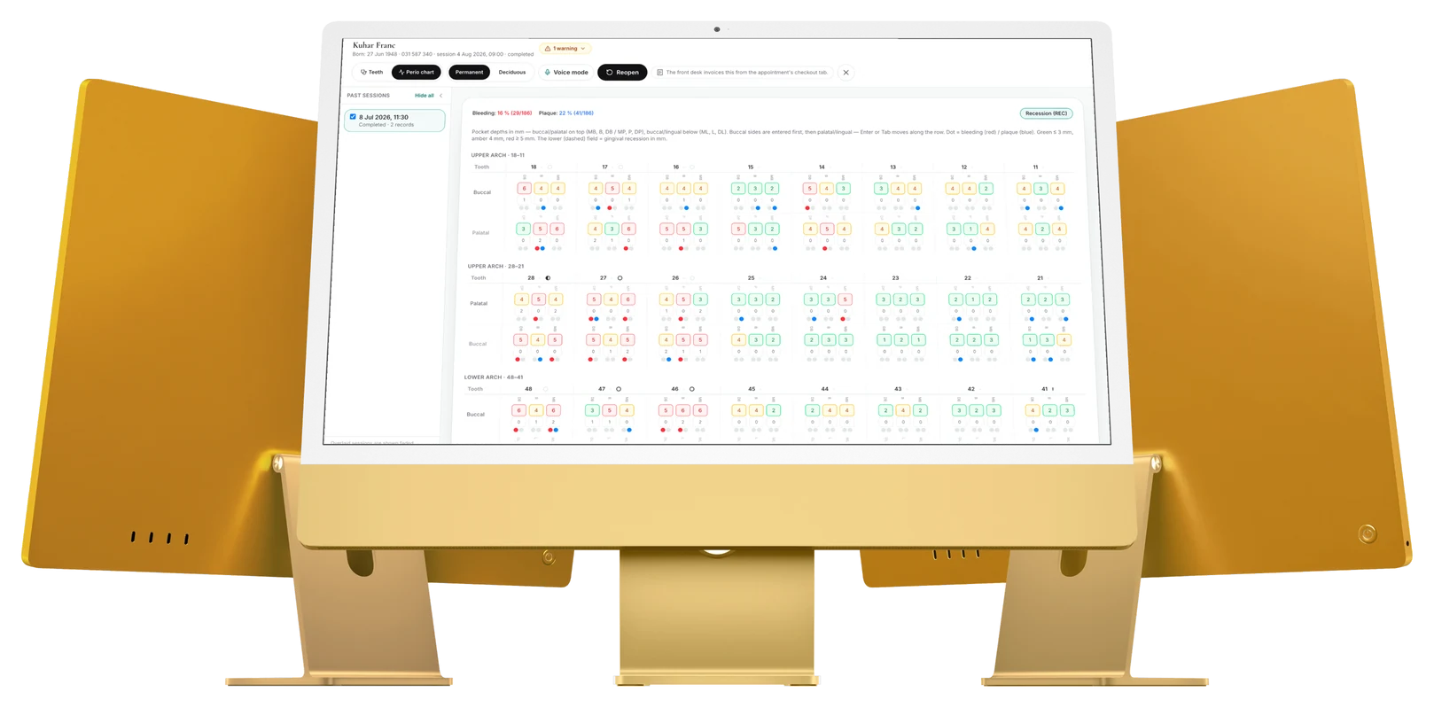 A client chart record open in Ordion Clinic on gold iMacs.